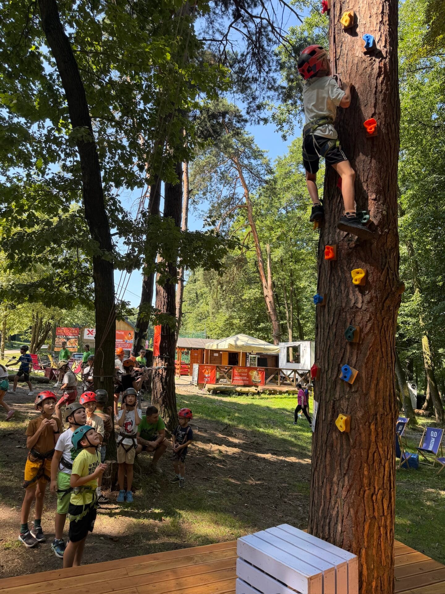 Dziecko wspina się na ściankę wspinaczkową zamontowaną na drzewie w Xtreme Park Wieliczka